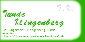 tunde klingenberg business card